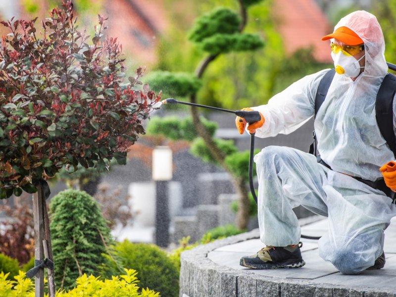 Osmangazi Haşere İlaçlama